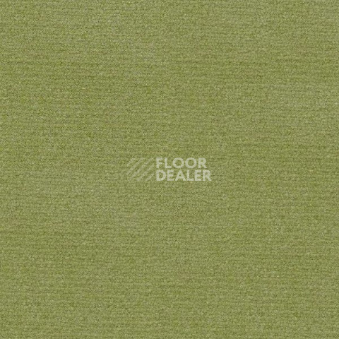 Ковролин Radici Abetone Verde 3138 фото 1 | FLOORDEALER